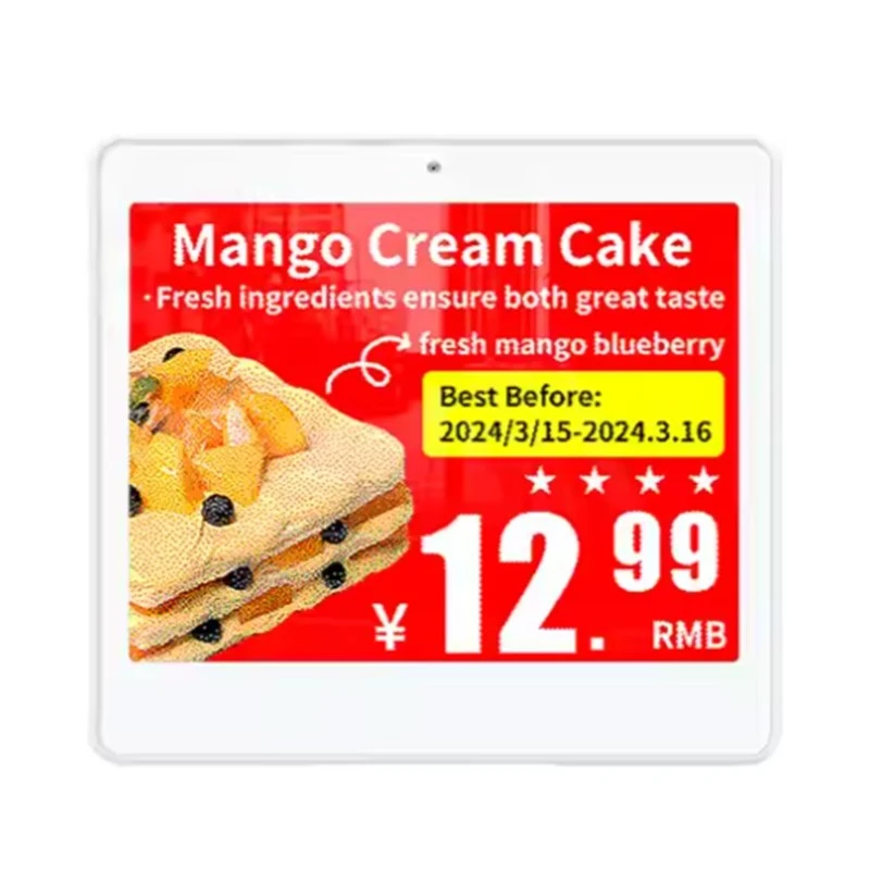 4.2 ਇੰਚ ਵਾਟਰਪਰੂਫ E-ਇੰਕ ਇਲੈਕਟ੍ਰਾਨਿਕ ਕੀਮਤ ਟੈਗ